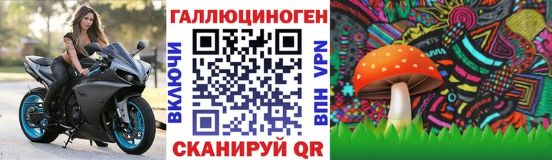 Купить  Спасск  Псилоцибиновые грибы Psilocybe 